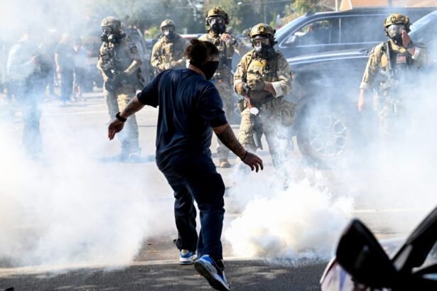 ICE Released Tear Gas Outside a Chicago Elementary School