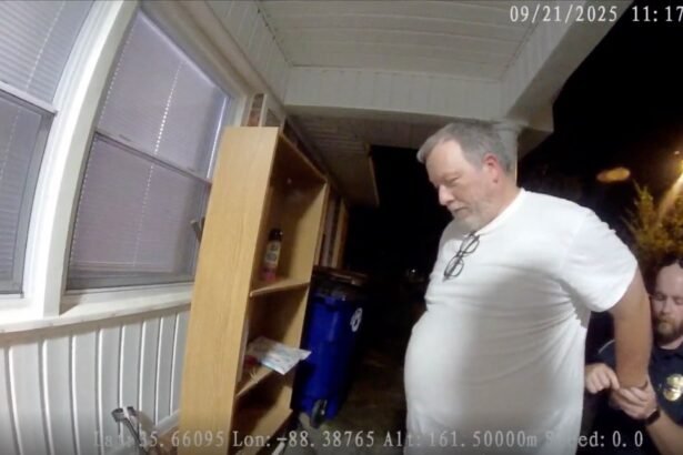 Man Jailed for Facebook Meme Is Freed in Tennessee