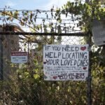 Trump Admin Hides Number of Pregnant People in ICE Detention