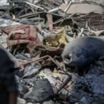 We Asked People in Gaza What They Think of the Ceasefire