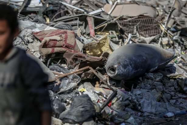 We Asked People in Gaza What They Think of the Ceasefire