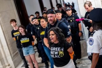 Youth Climate Group Sunrise Movement Pivots to Fighting Trump