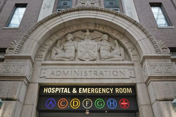 Palantir Gets Millions of Dollars From New York City’s Public Hospitals